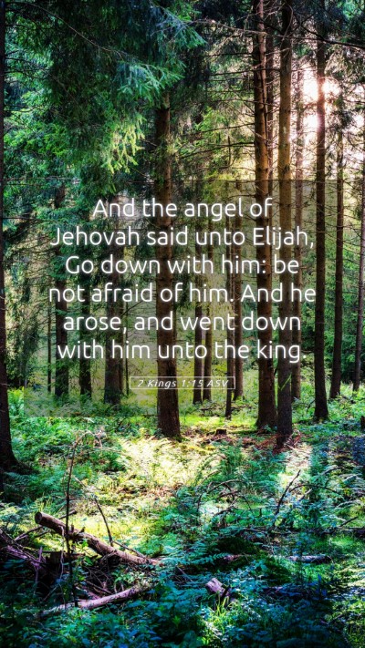 Picture 05 - 2 Kings 1:15 ASV Mobile Phone Wallpaper - And the angel of Jehovah said unto Elijah, Go - Mobile Bible Verse Wallpaper