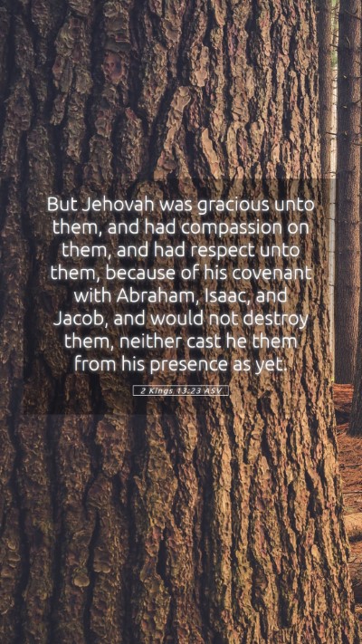 Picture 05 - 2 Kings 13:23 ASV Mobile Phone Wallpaper - But Jehovah was gracious unto them, and had - Mobile Bible Verse Wallpaper
