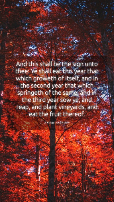 Picture 05 - 2 Kings 19:29 ASV Mobile Phone Wallpaper - And this shall be the sign unto thee: Ye shall - Mobile Bible Verse Wallpaper
