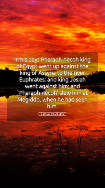Picture 05 - 2 Kings 23:29 ASV Mobile Phone Wallpaper - In his days Pharaoh-necoh king of Egypt went up - Mobile Bible Verse Wallpaper