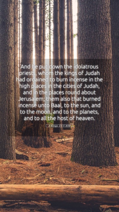 Picture 05 - 2 Kings 23:5 ASV Mobile Phone Wallpaper - And he put down the idolatrous priests, whom the - Mobile Bible Verse Wallpaper