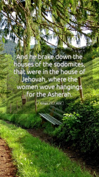 Picture 05 - 2 Kings 23:7 ASV Mobile Phone Wallpaper - And he brake down the houses of the sodomites, - Mobile Bible Verse Wallpaper