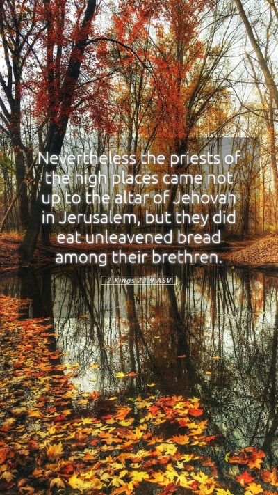Picture 05 - 2 Kings 23:9 ASV Mobile Phone Wallpaper - Nevertheless the priests of the high places came - Mobile Bible Verse Wallpaper