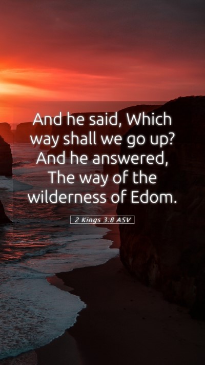 Picture 05 - 2 Kings 3:8 ASV Mobile Phone Wallpaper - And he said, Which way shall we go up? And he - Mobile Bible Verse Wallpaper