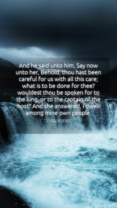 Picture 05 - 2 Kings 4:13 ASV Mobile Phone Wallpaper - And he said unto him, Say now unto her, Behold, - Mobile Bible Verse Wallpaper