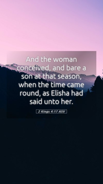 Picture 05 - 2 Kings 4:17 ASV Mobile Phone Wallpaper - And the woman conceived, and bare a son at that - Mobile Bible Verse Wallpaper