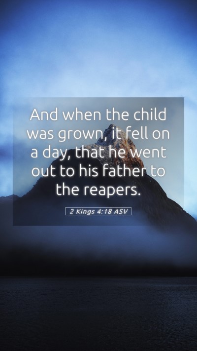 Picture 05 - 2 Kings 4:18 ASV Mobile Phone Wallpaper - And when the child was grown, it fell on a day, - Mobile Bible Verse Wallpaper
