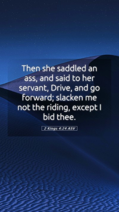 Picture 05 - 2 Kings 4:24 ASV Mobile Phone Wallpaper - Then she saddled an ass, and said to her servant, - Mobile Bible Verse Wallpaper