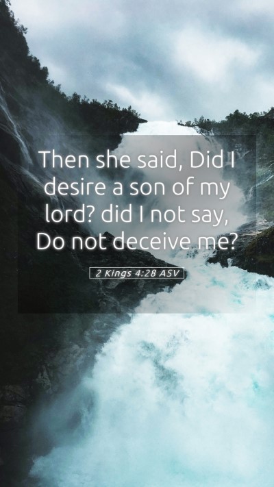 Picture 05 - 2 Kings 4:28 ASV Mobile Phone Wallpaper - Then she said, Did I desire a son of my lord? did - Mobile Bible Verse Wallpaper