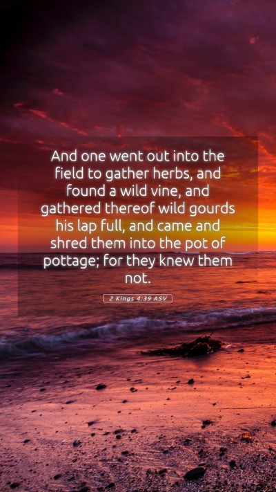 Picture 05 - 2 Kings 4:39 ASV Mobile Phone Wallpaper - And one went out into the field to gather herbs, - Mobile Bible Verse Wallpaper