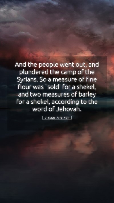 Picture 05 - 2 Kings 7:16 ASV Mobile Phone Wallpaper - And the people went out, and plundered the camp - Mobile Bible Verse Wallpaper