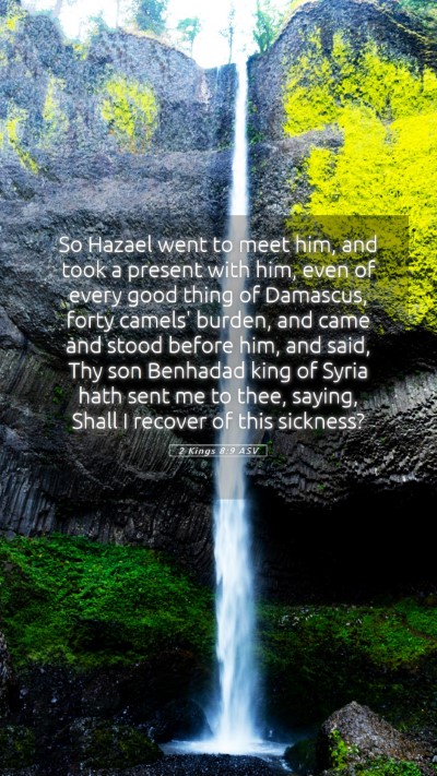 Picture 05 - 2 Kings 8:9 ASV Mobile Phone Wallpaper - So Hazael went to meet him, and took a present - Mobile Bible Verse Wallpaper