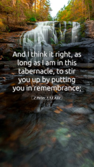 Picture 05 - 2 Peter 1:13 ASV Mobile Phone Wallpaper - And I think it right, as long as I am in this - Mobile Bible Verse Wallpaper