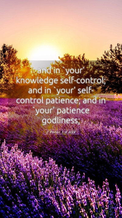 Picture 05 - 2 Peter 1:6 ASV Mobile Phone Wallpaper - and in `your' knowledge self-control; and in - Mobile Bible Verse Wallpaper