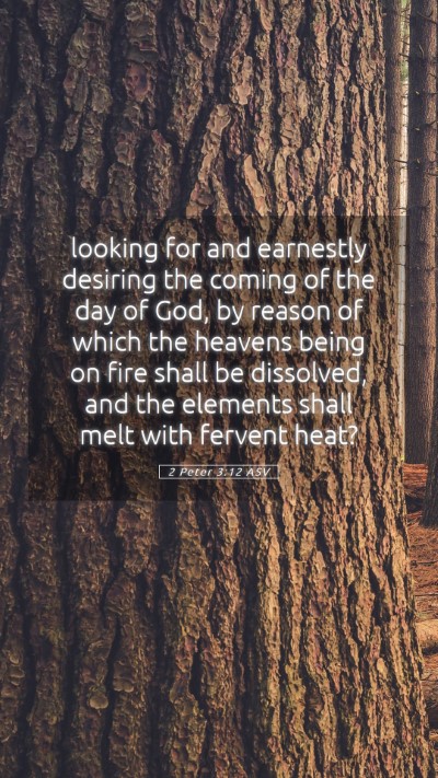 Picture 05 - 2 Peter 3:12 ASV Mobile Phone Wallpaper - looking for and earnestly desiring the coming of - Mobile Bible Verse Wallpaper