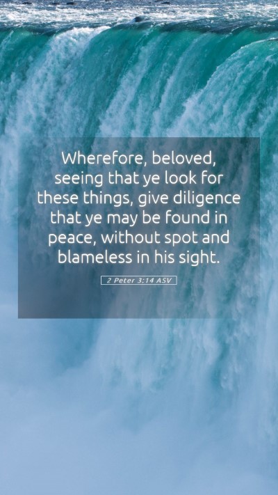 Picture 05 - 2 Peter 3:14 ASV Mobile Phone Wallpaper - Wherefore, beloved, seeing that ye look for these - Mobile Bible Verse Wallpaper