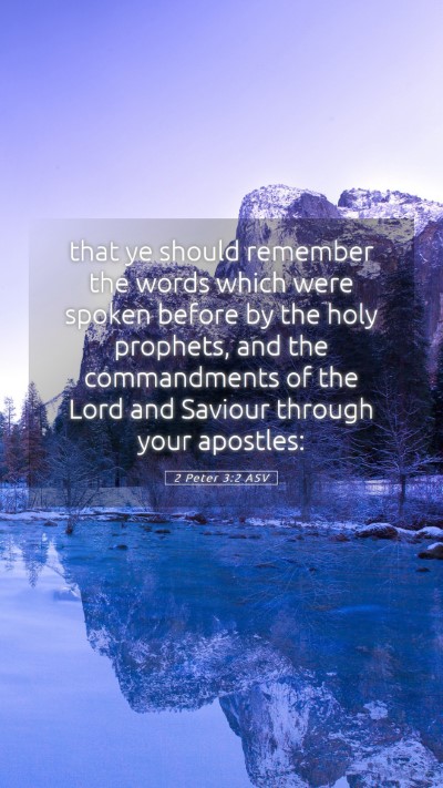 Picture 05 - 2 Peter 3:2 ASV Mobile Phone Wallpaper - that ye should remember the words which were - Mobile Bible Verse Wallpaper