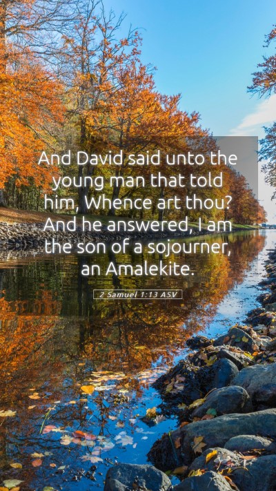 Picture 05 - 2 Samuel 1:13 ASV Mobile Phone Wallpaper - And David said unto the young man that told him, - Mobile Bible Verse Wallpaper