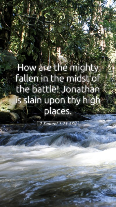 Picture 05 - 2 Samuel 1:25 ASV Mobile Phone Wallpaper - How are the mighty fallen in the midst of the - Mobile Bible Verse Wallpaper