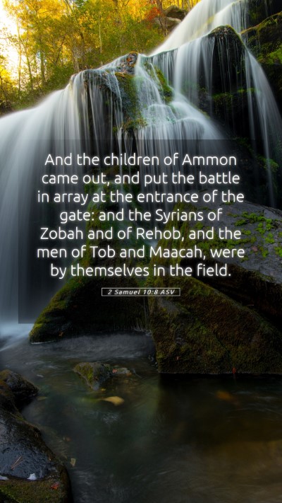 Picture 05 - 2 Samuel 10:8 ASV Mobile Phone Wallpaper - And the children of Ammon came out, and put the - Mobile Bible Verse Wallpaper