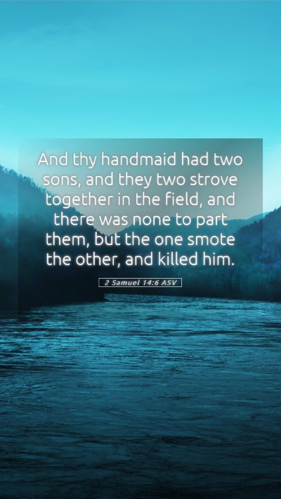Picture 05 - 2 Samuel 14:6 ASV Mobile Phone Wallpaper - And thy handmaid had two sons, and they two - Mobile Bible Verse Wallpaper