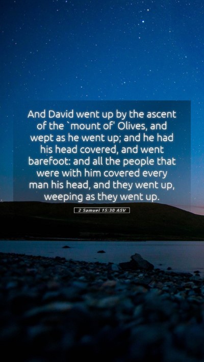 Picture 05 - 2 Samuel 15:30 ASV Mobile Phone Wallpaper - And David went up by the ascent of the `mount of' - Mobile Bible Verse Wallpaper