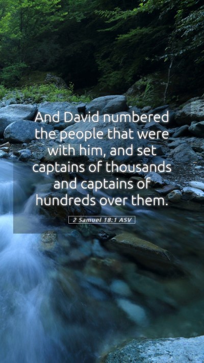 Picture 05 - 2 Samuel 18:1 ASV Mobile Phone Wallpaper - And David numbered the people that were with him, - Mobile Bible Verse Wallpaper