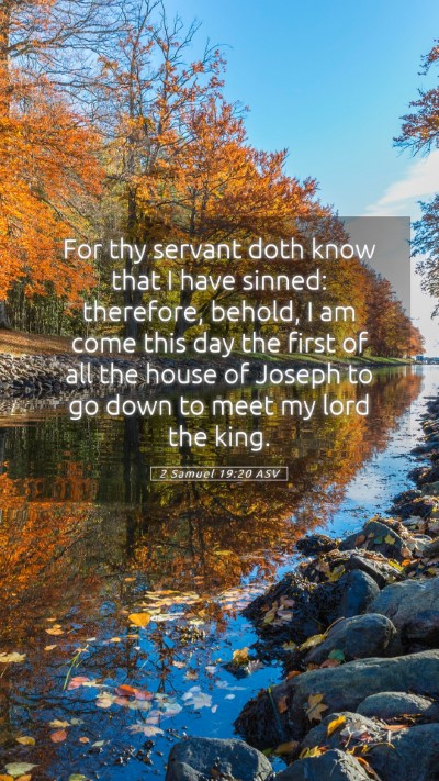 Picture 05 - 2 Samuel 19:20 ASV Mobile Phone Wallpaper - For thy servant doth know that I have sinned: - Mobile Bible Verse Wallpaper
