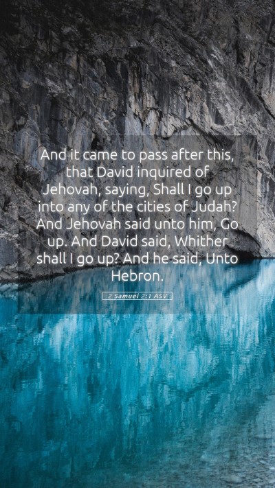 Picture 05 - 2 Samuel 2:1 ASV Mobile Phone Wallpaper - And it came to pass after this, that David - Mobile Bible Verse Wallpaper