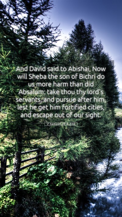 Picture 05 - 2 Samuel 20:6 ASV Mobile Phone Wallpaper - And David said to Abishai, Now will Sheba the son - Mobile Bible Verse Wallpaper