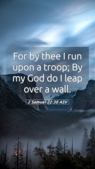 Picture 05 - 2 Samuel 22:30 ASV Mobile Phone Wallpaper - For by thee I run upon a troop; By my God do I - Mobile Bible Verse Wallpaper