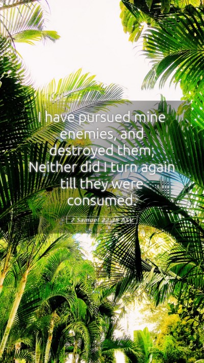 Picture 05 - 2 Samuel 22:38 ASV Mobile Phone Wallpaper - I have pursued mine enemies, and destroyed them; - Mobile Bible Verse Wallpaper