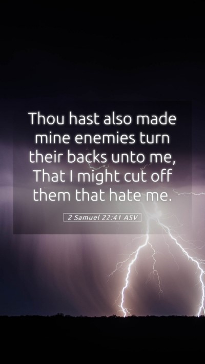 Picture 05 - 2 Samuel 22:41 ASV Mobile Phone Wallpaper - Thou hast also made mine enemies turn their backs - Mobile Bible Verse Wallpaper