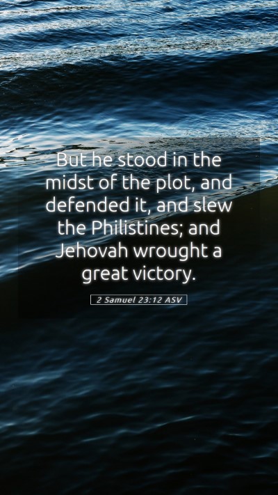 Picture 05 - 2 Samuel 23:12 ASV Mobile Phone Wallpaper - But he stood in the midst of the plot, and - Mobile Bible Verse Wallpaper