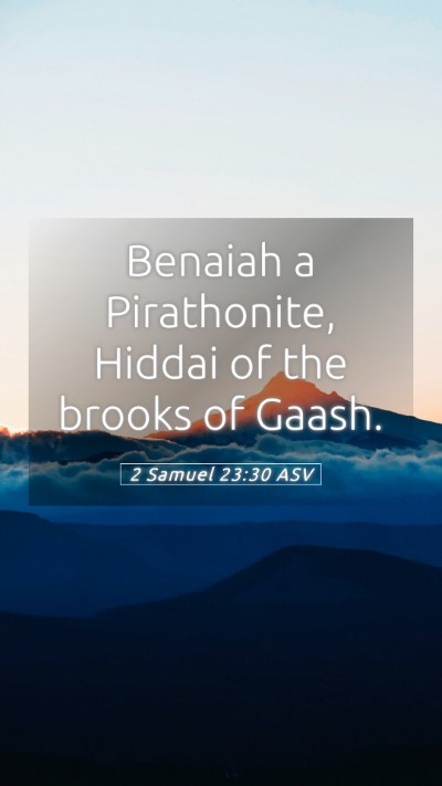 Picture 05 - 2 Samuel 23:30 ASV Mobile Phone Wallpaper - Benaiah a Pirathonite, Hiddai of the brooks of - Mobile Bible Verse Wallpaper