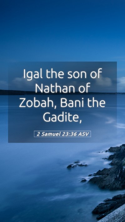 Picture 05 - 2 Samuel 23:36 ASV Mobile Phone Wallpaper - Igal the son of Nathan of Zobah, Bani the - Mobile Bible Verse Wallpaper
