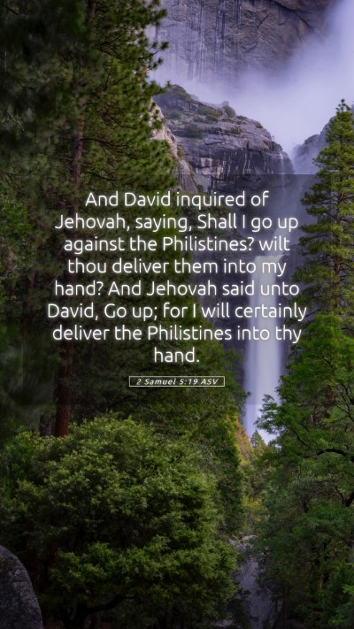 Picture 05 - 2 Samuel 5:19 ASV Mobile Phone Wallpaper - And David inquired of Jehovah, saying, Shall I go - Mobile Bible Verse Wallpaper