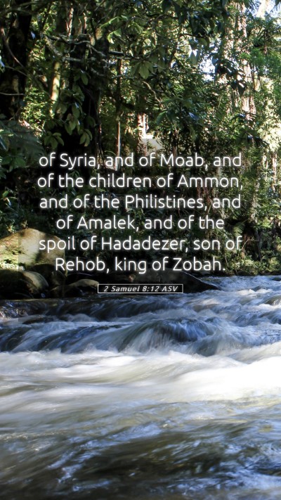 Picture 05 - 2 Samuel 8:12 ASV Mobile Phone Wallpaper - of Syria, and of Moab, and of the children of - Mobile Bible Verse Wallpaper