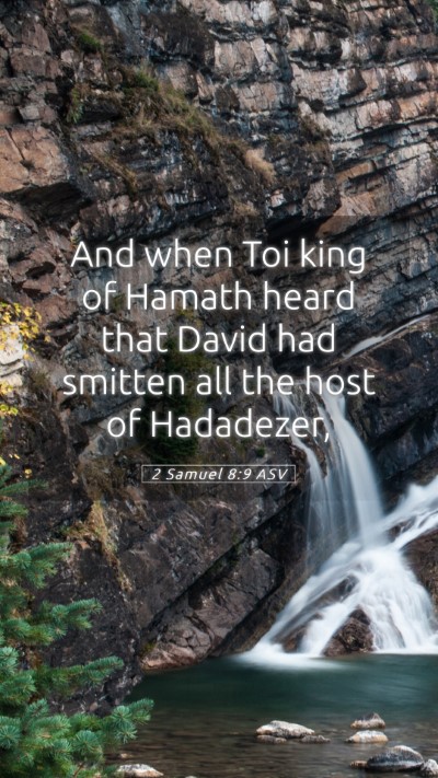 Picture 05 - 2 Samuel 8:9 ASV Mobile Phone Wallpaper - And when Toi king of Hamath heard that David had - Mobile Bible Verse Wallpaper