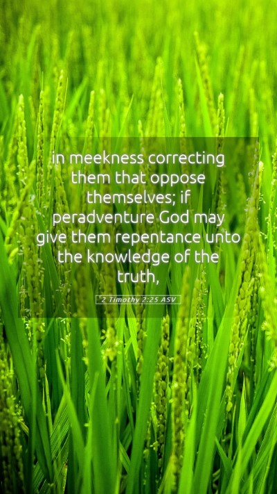 Picture 05 - 2 Timothy 2:25 ASV Mobile Phone Wallpaper - in meekness correcting them that oppose - Mobile Bible Verse Wallpaper