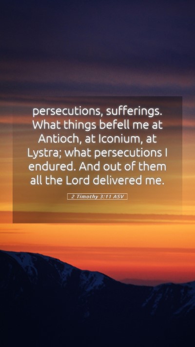 Picture 05 - 2 Timothy 3:11 ASV Mobile Phone Wallpaper - persecutions, sufferings. What things befell me - Mobile Bible Verse Wallpaper