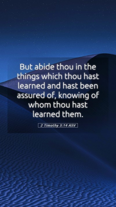 Picture 05 - 2 Timothy 3:14 ASV Mobile Phone Wallpaper - But abide thou in the things which thou hast - Mobile Bible Verse Wallpaper