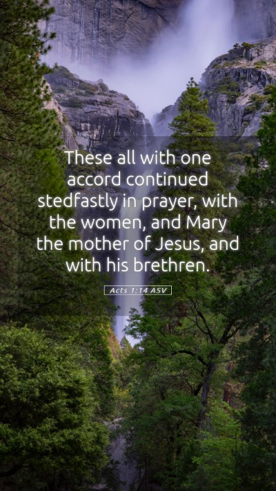 Picture 05 - Acts 1:14 ASV Mobile Phone Wallpaper - These all with one accord continued stedfastly in - Mobile Bible Verse Wallpaper