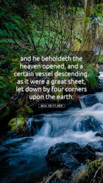 Picture 05 - Acts 10:11 ASV Mobile Phone Wallpaper - and he beholdeth the heaven opened, and a certain - Mobile Bible Verse Wallpaper