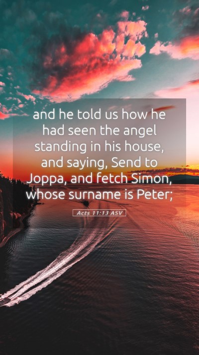 Picture 05 - Acts 11:13 ASV Mobile Phone Wallpaper - and he told us how he had seen the angel standing - Mobile Bible Verse Wallpaper