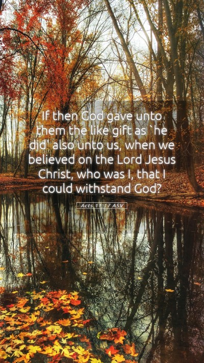 Picture 05 - Acts 11:17 ASV Mobile Phone Wallpaper - If then God gave unto them the like gift as `he - Mobile Bible Verse Wallpaper