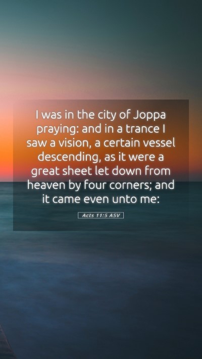 Picture 05 - Acts 11:5 ASV Mobile Phone Wallpaper - I was in the city of Joppa praying: and in a - Mobile Bible Verse Wallpaper