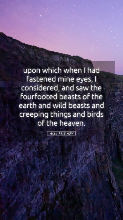 Picture 05 - Acts 11:6 ASV Mobile Phone Wallpaper - upon which when I had fastened mine eyes, I - Mobile Bible Verse Wallpaper