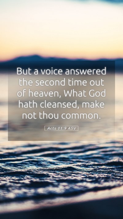 Picture 05 - Acts 11:9 ASV Mobile Phone Wallpaper - But a voice answered the second time out of - Mobile Bible Verse Wallpaper