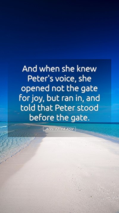 Picture 05 - Acts 12:14 ASV Mobile Phone Wallpaper - And when she knew Peter's voice, she opened not - Mobile Bible Verse Wallpaper